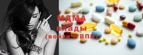 прущие грибы Покров