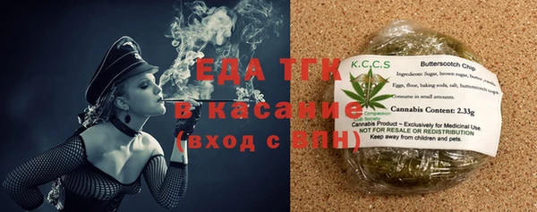 прущие грибы Покров