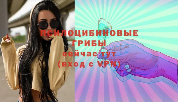 прущие грибы Покров