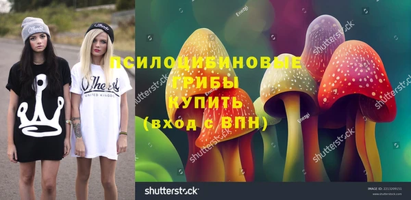 винт Абаза