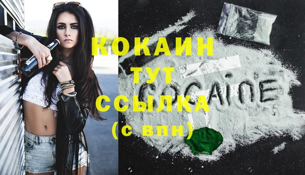 винт Абаза