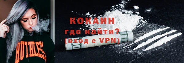 винт Абаза