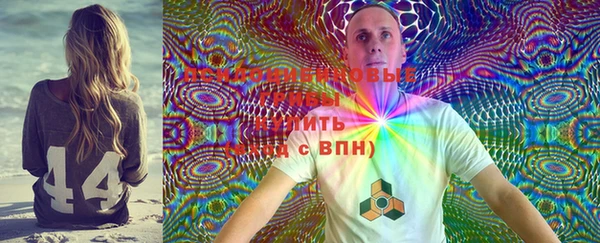 винт Абаза